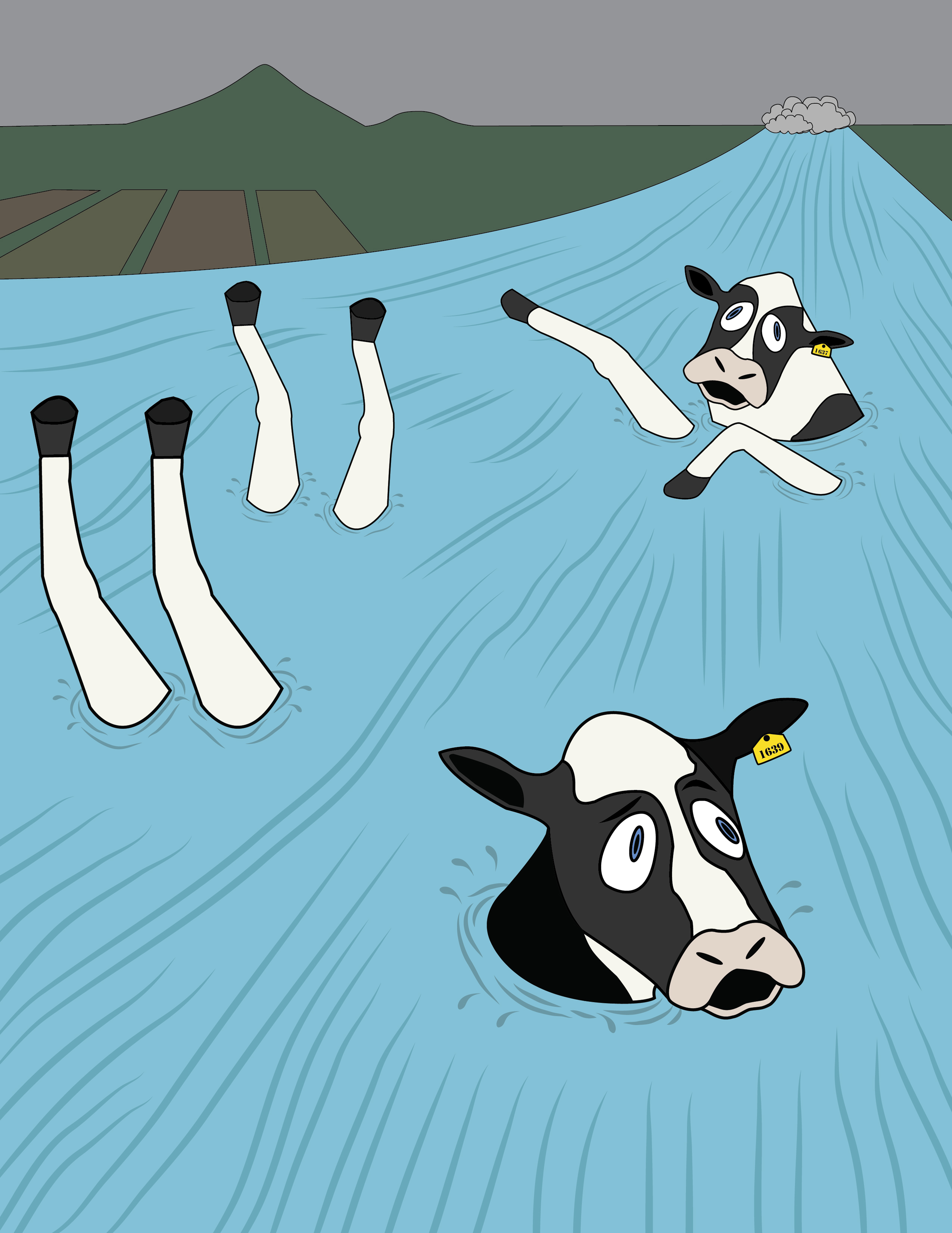 cows-drowning.jpg